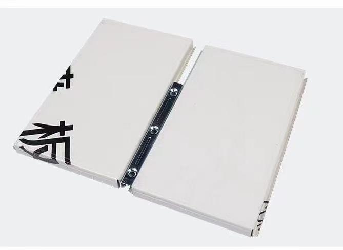 Galvanized Steel Wall Panel for Data Center